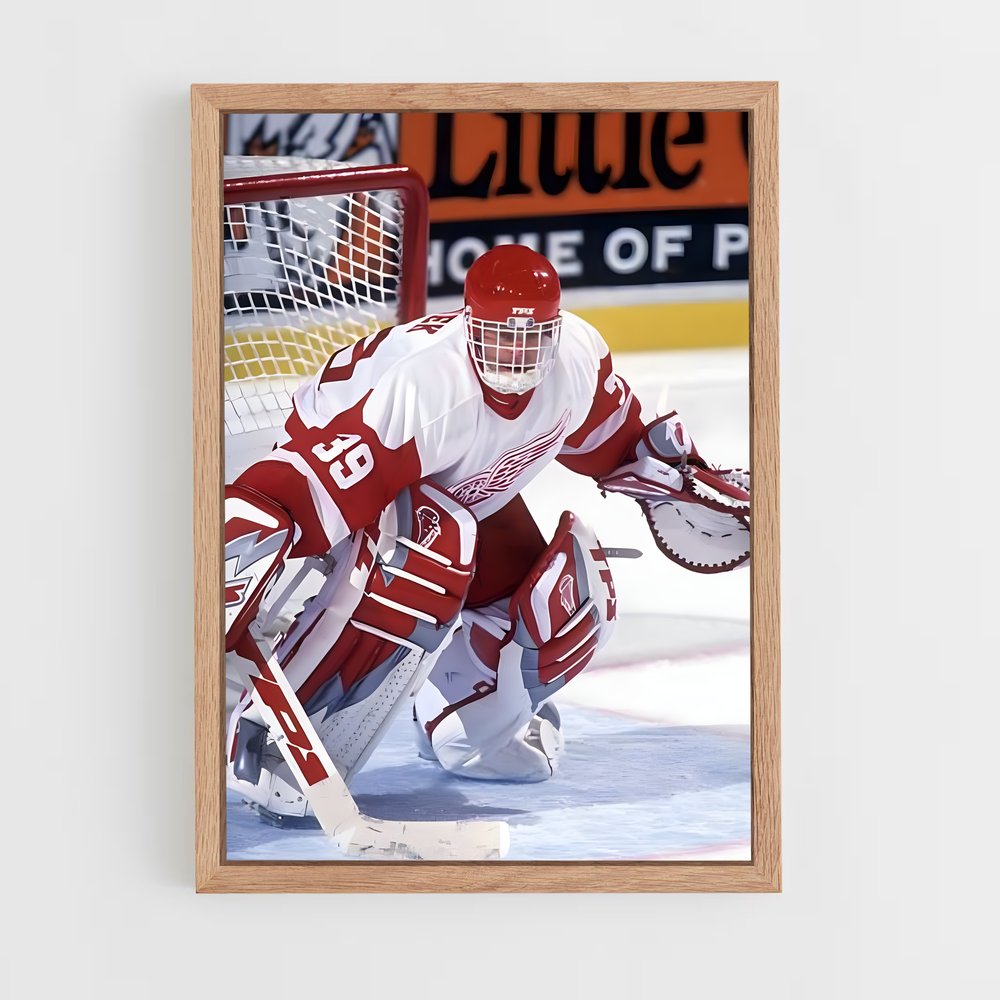 ap-dominik hasek-1 cadre Bois clair
