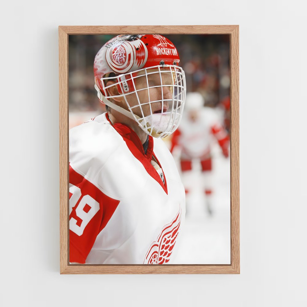ap-dominik hasek-8 cadre Bois clair