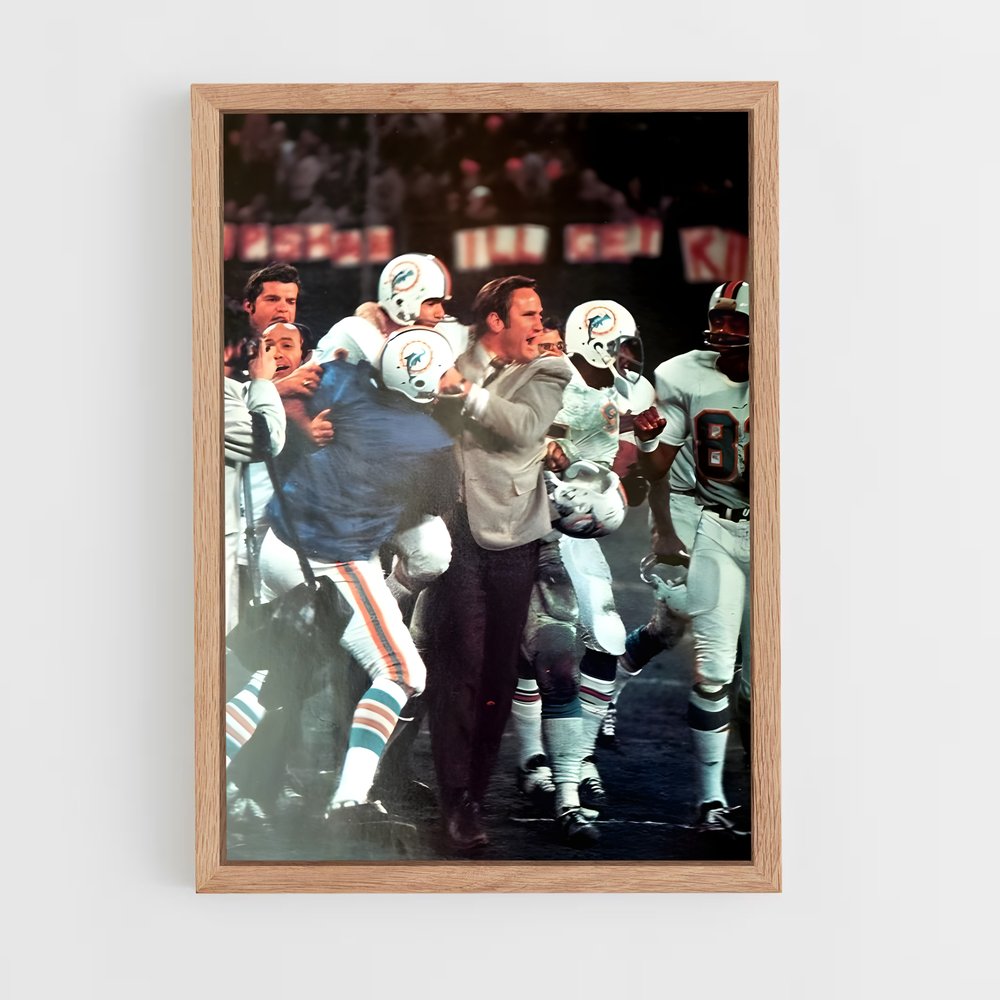 ap-don shula-3 cadre Bois clair