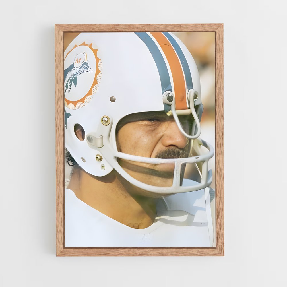 ap-don shula-5 cadre Bois clair