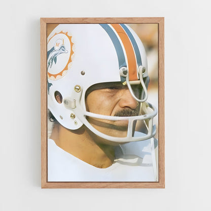 ap-don shula-5 cadre Bois clair