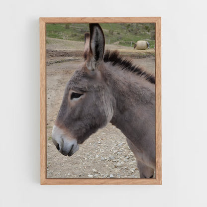 ap-donkey-9 cadre Bois clair