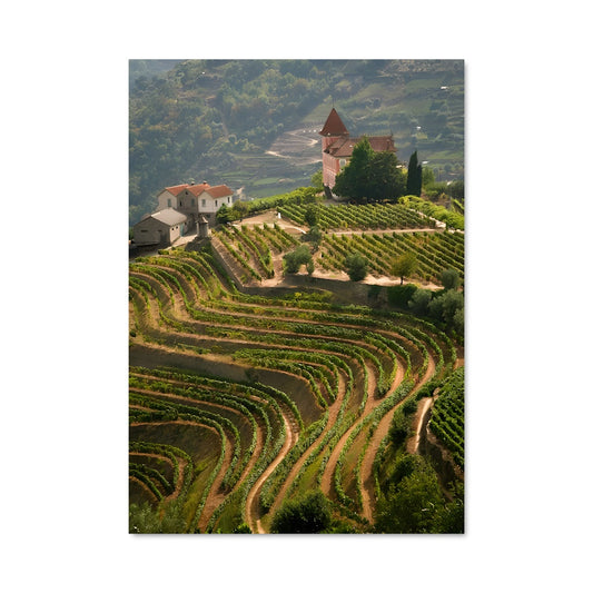 Poster Vignobles Enchantés