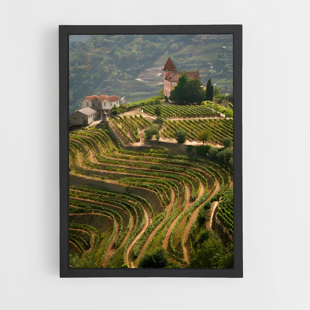 ap-douro valley-1 cadre Noir