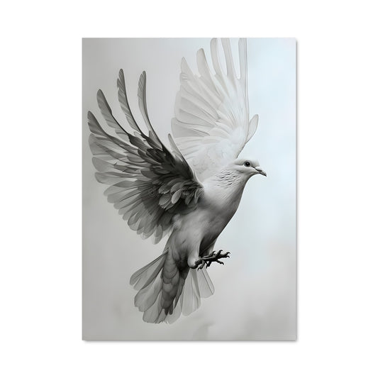 Poster Colombe Élevée