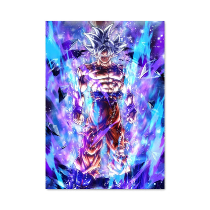 Poster Dragon Ball Zoro Battle