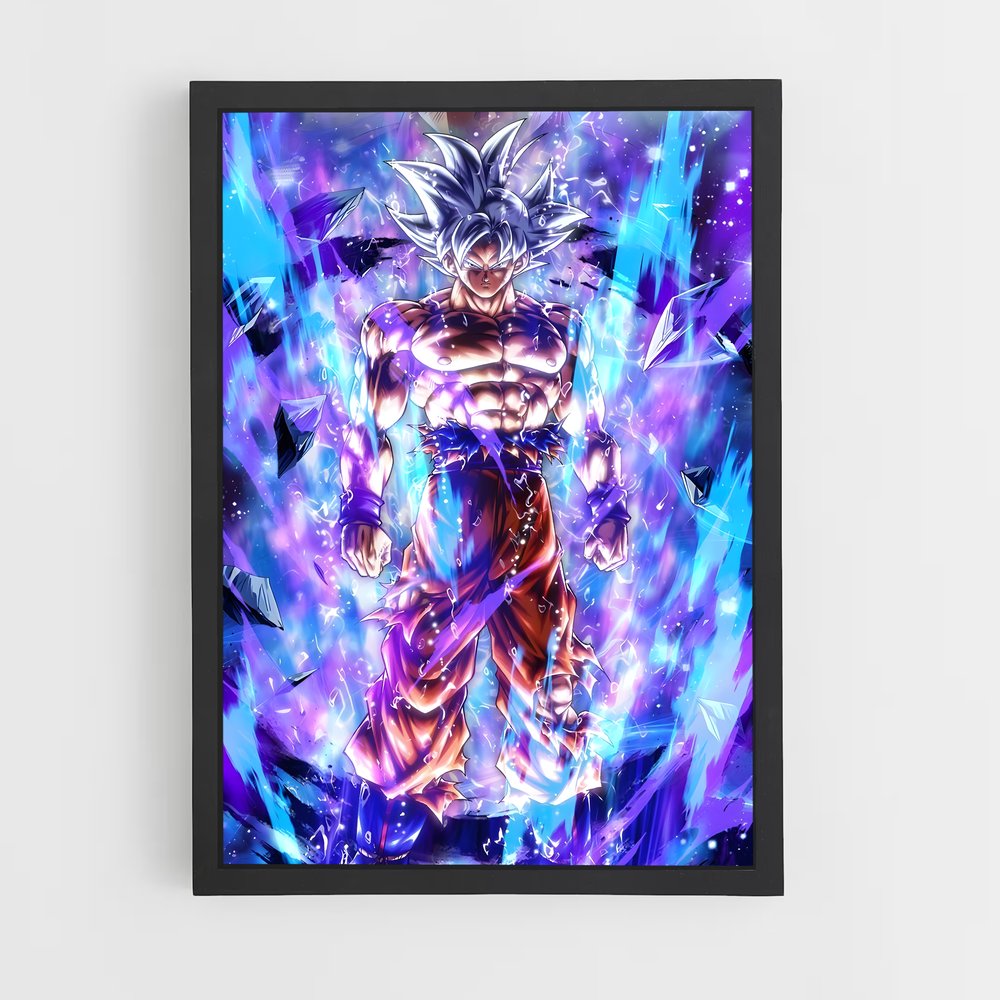 ap-dragon ball-1 cadre Noir
