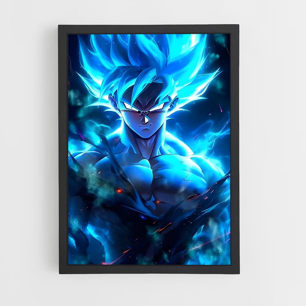 ap-dragon ball-14 cadre Noir