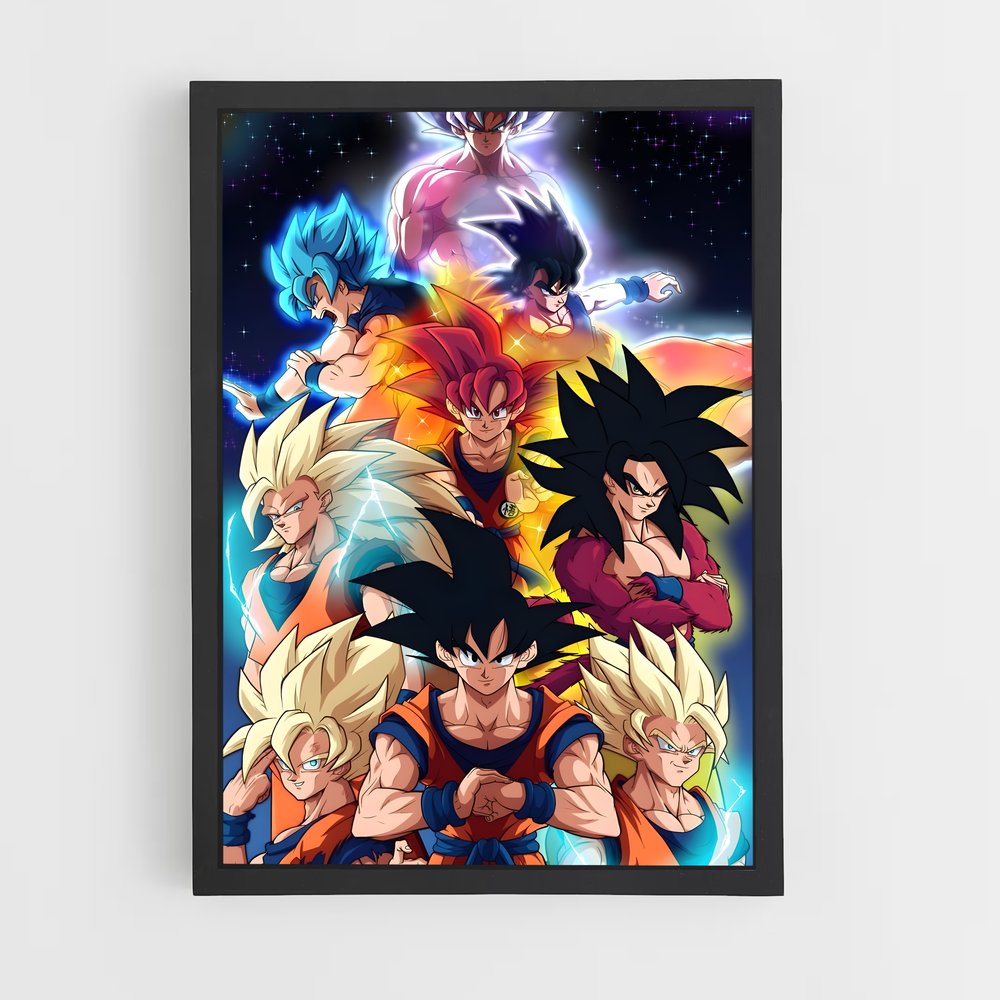 ap-dragon ball-8 cadre Noir
