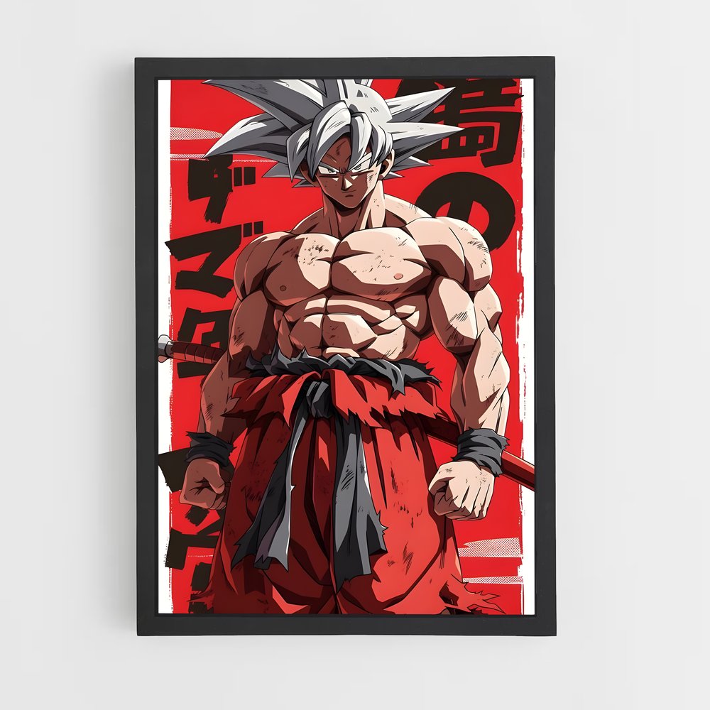 ap-dragon ball-9 cadre Noir