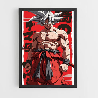 ap-dragon ball-9 cadre Noir