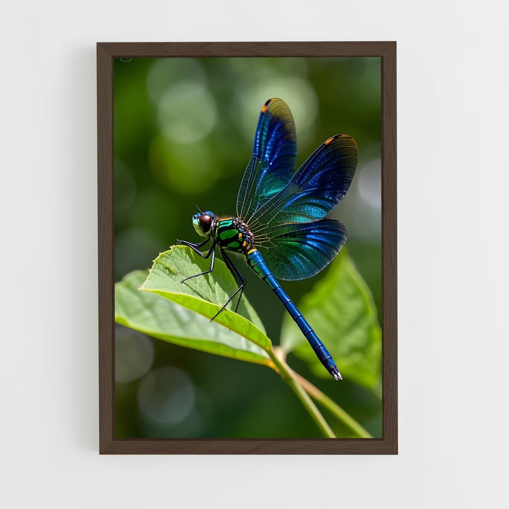 ap-dragonfly-1 cadre Bois foncé