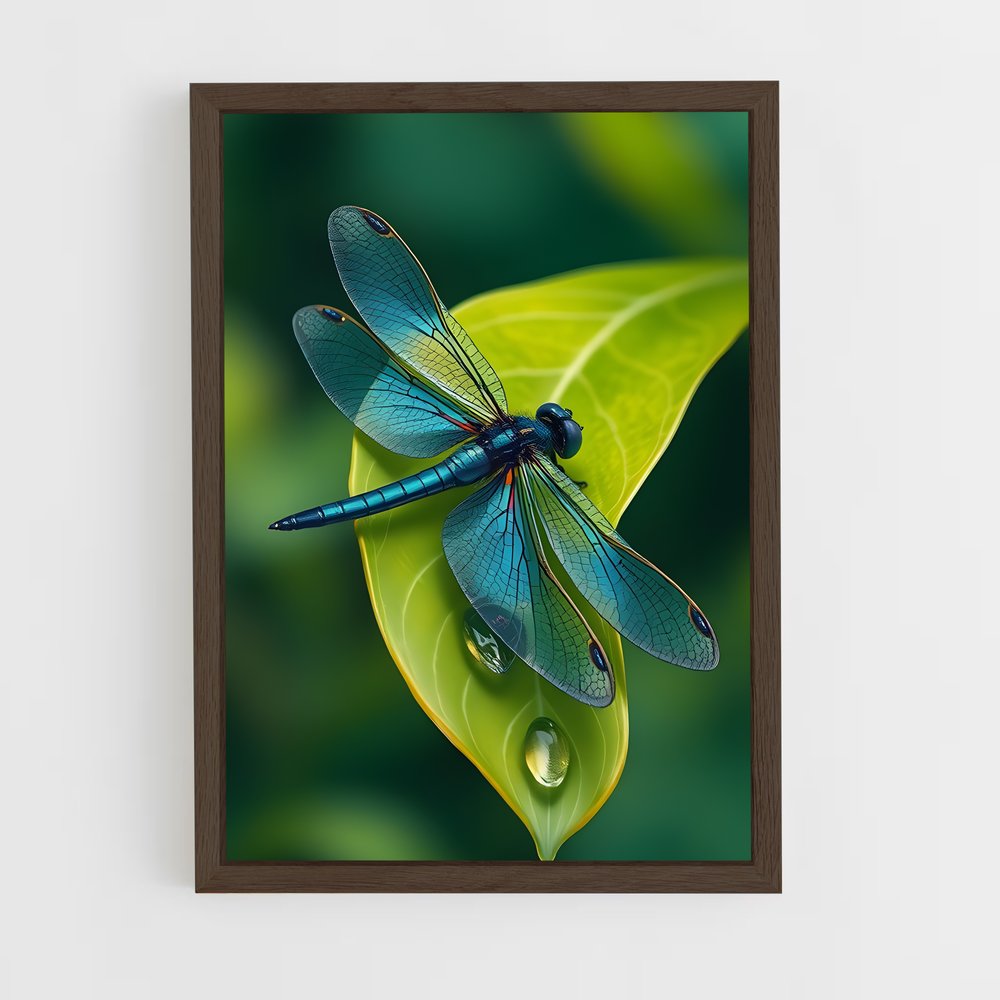ap-dragonfly-2 cadre Bois foncé