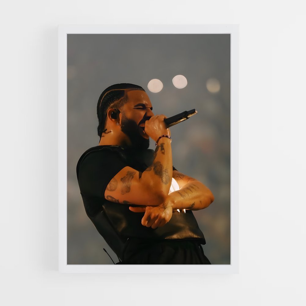 ap-drake pointing-4 cadre Blanc