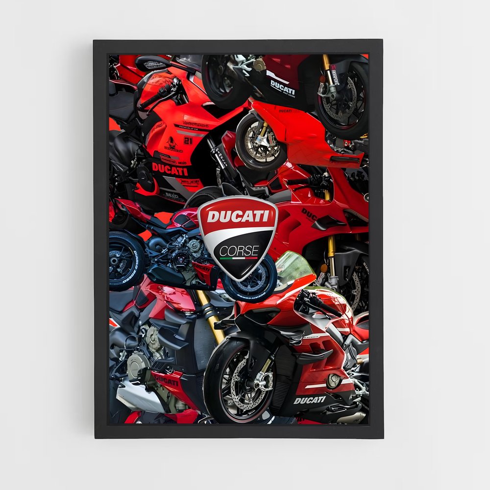 ap-ducati-5 cadre Noir