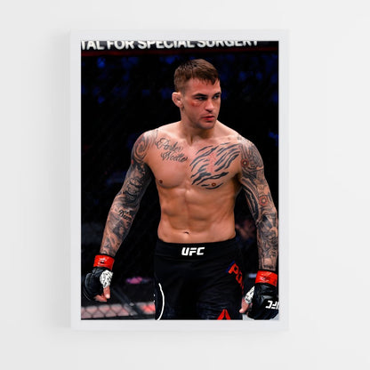 ap-dustin poirier-10 cadre Blanc