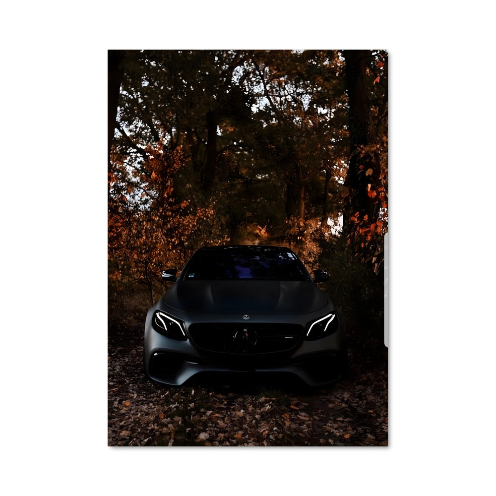 Poster Vision Écologique