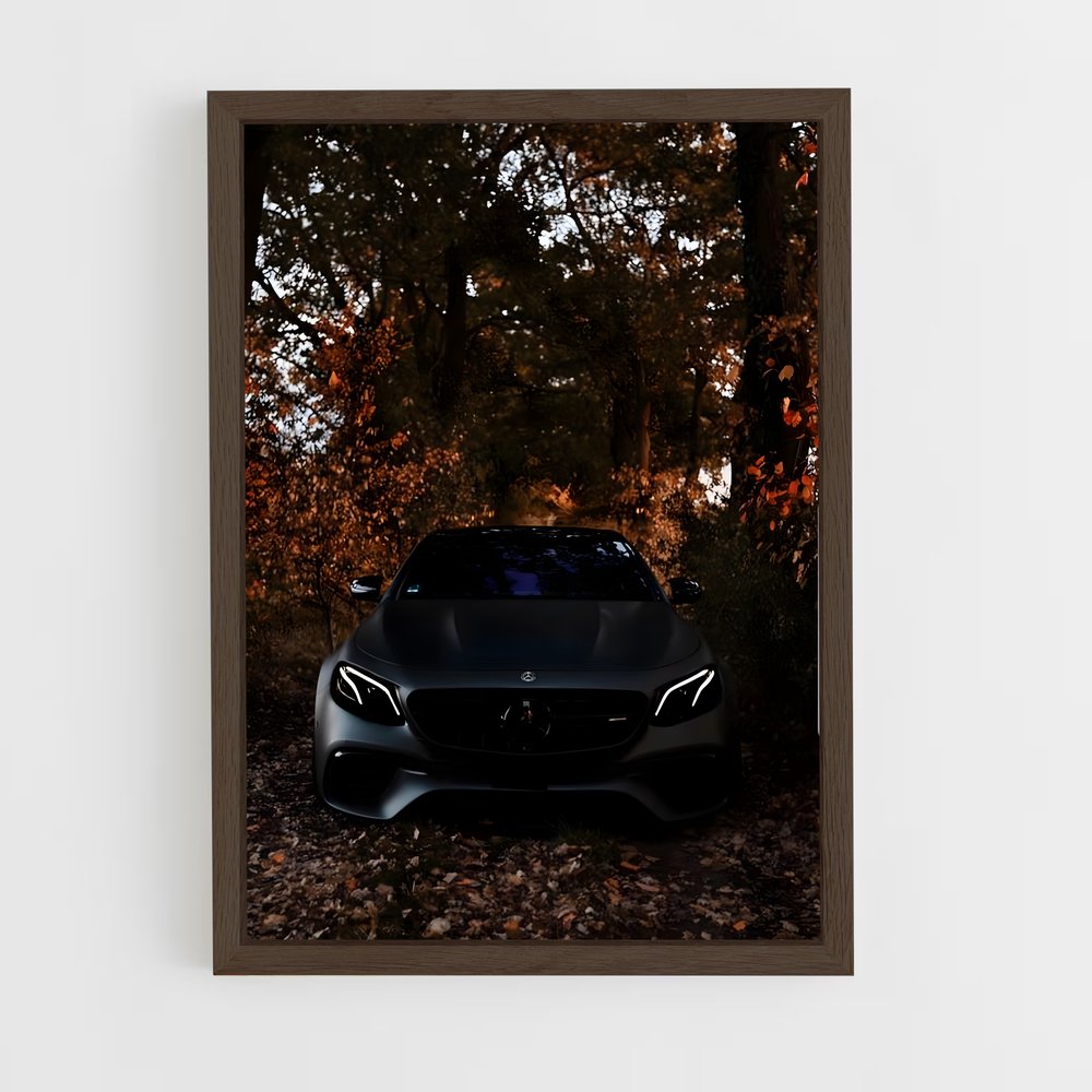 ap-e63 amg-1 cadre Bois foncé