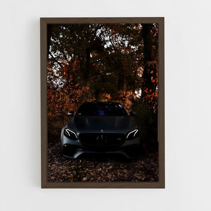 ap-e63 amg-1 cadre Bois foncé