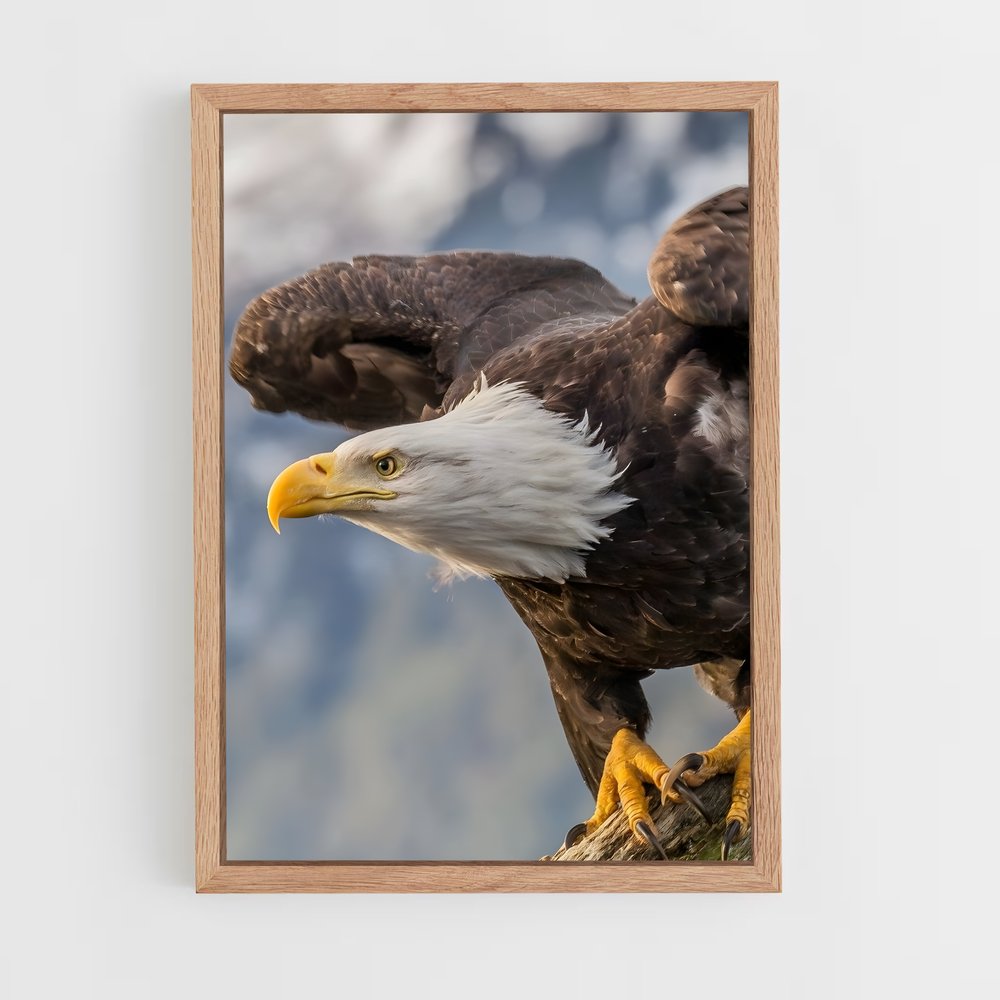 ap-eagle-1 cadre Bois clair