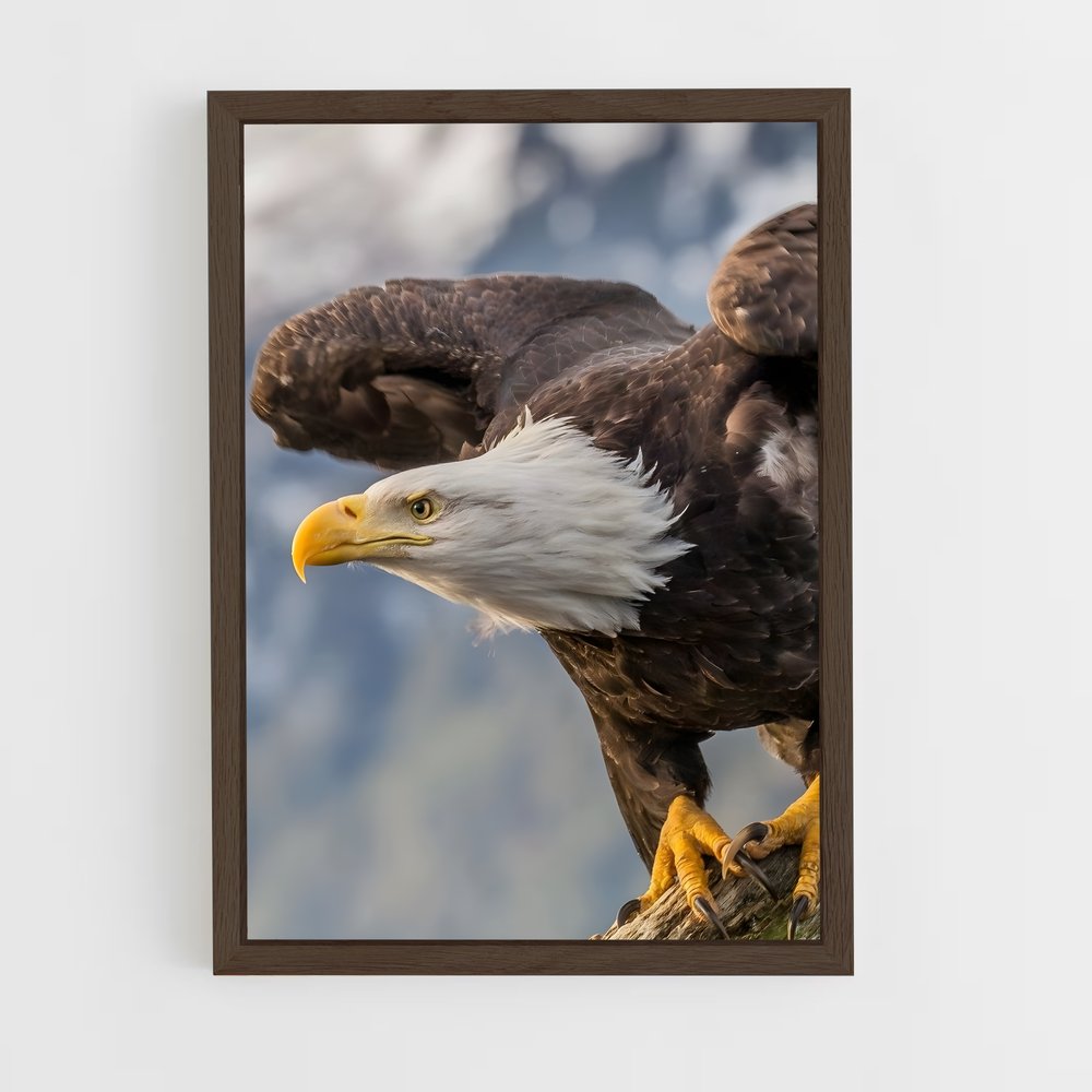 ap-eagle-1 cadre Bois foncé