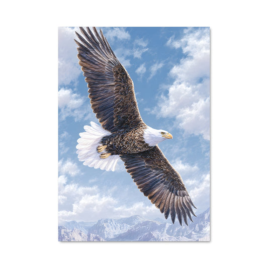 Poster Eagle 83483