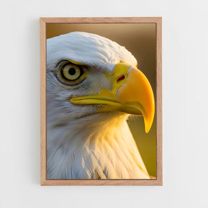 ap-eagle-8 cadre Bois clair