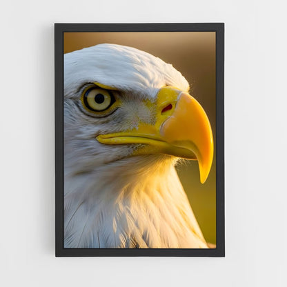 ap-eagle-8 cadre Noir