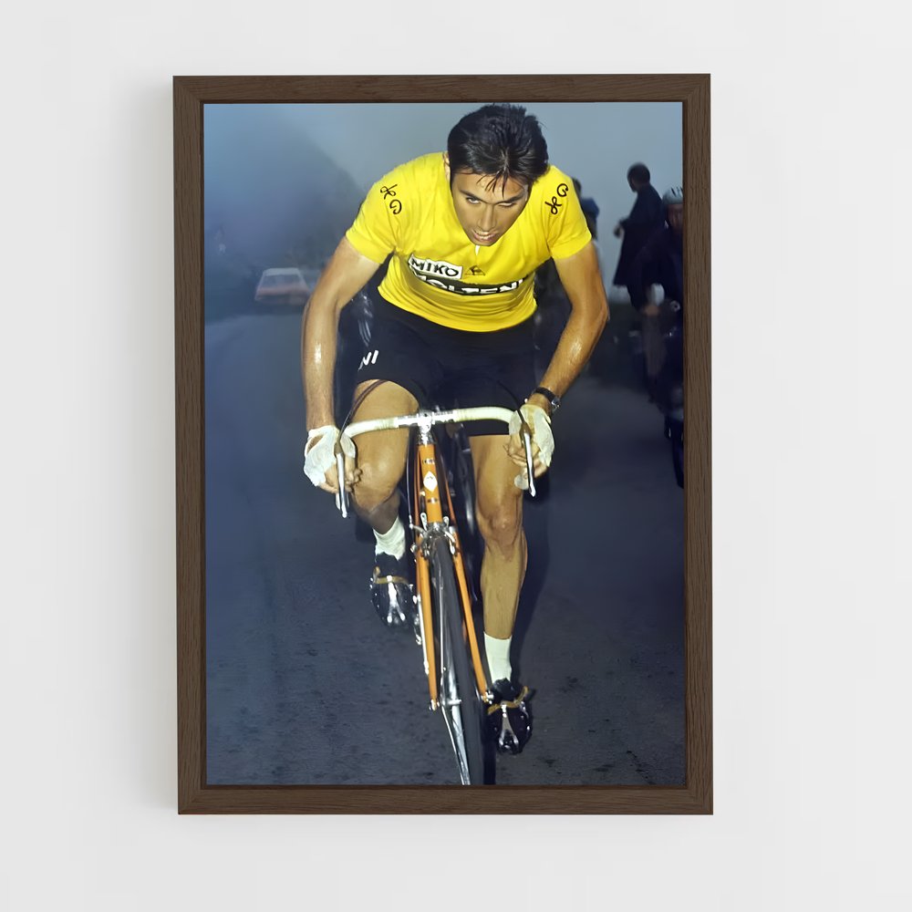ap-eddy merckx-4 cadre Bois foncé