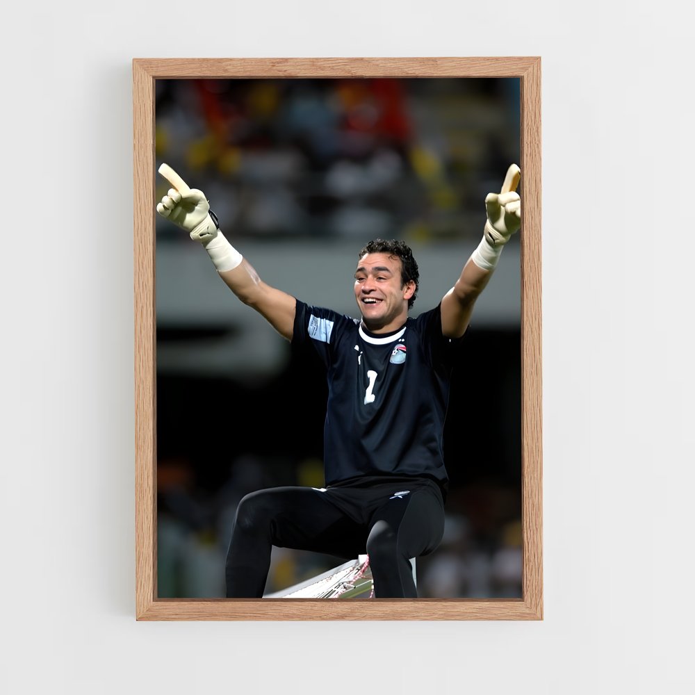 ap-egypt national football team-3 cadre Bois clair