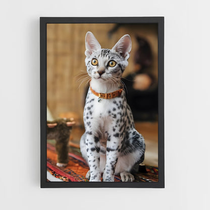 ap-egyptian mau-1 cadre Noir