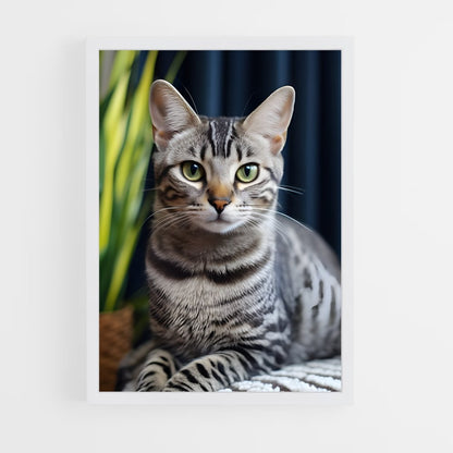 ap-egyptian mau-2 cadre Blanc