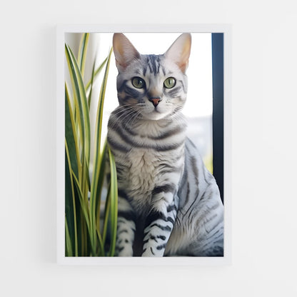 ap-egyptian mau-5 cadre Blanc