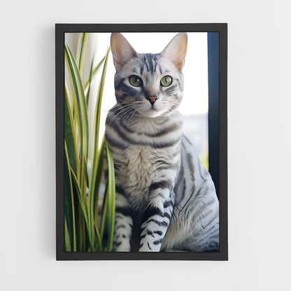 ap-egyptian mau-5 cadre Noir