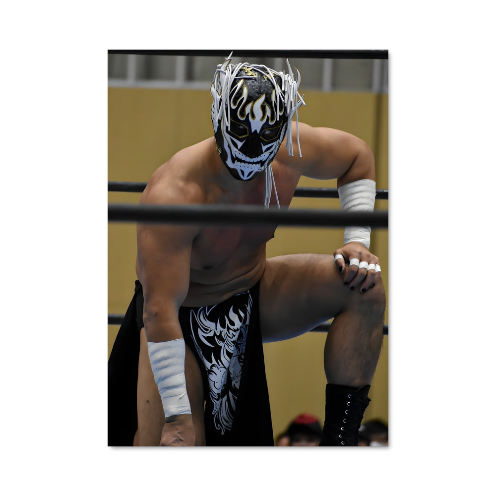 Poster El desperado 61259