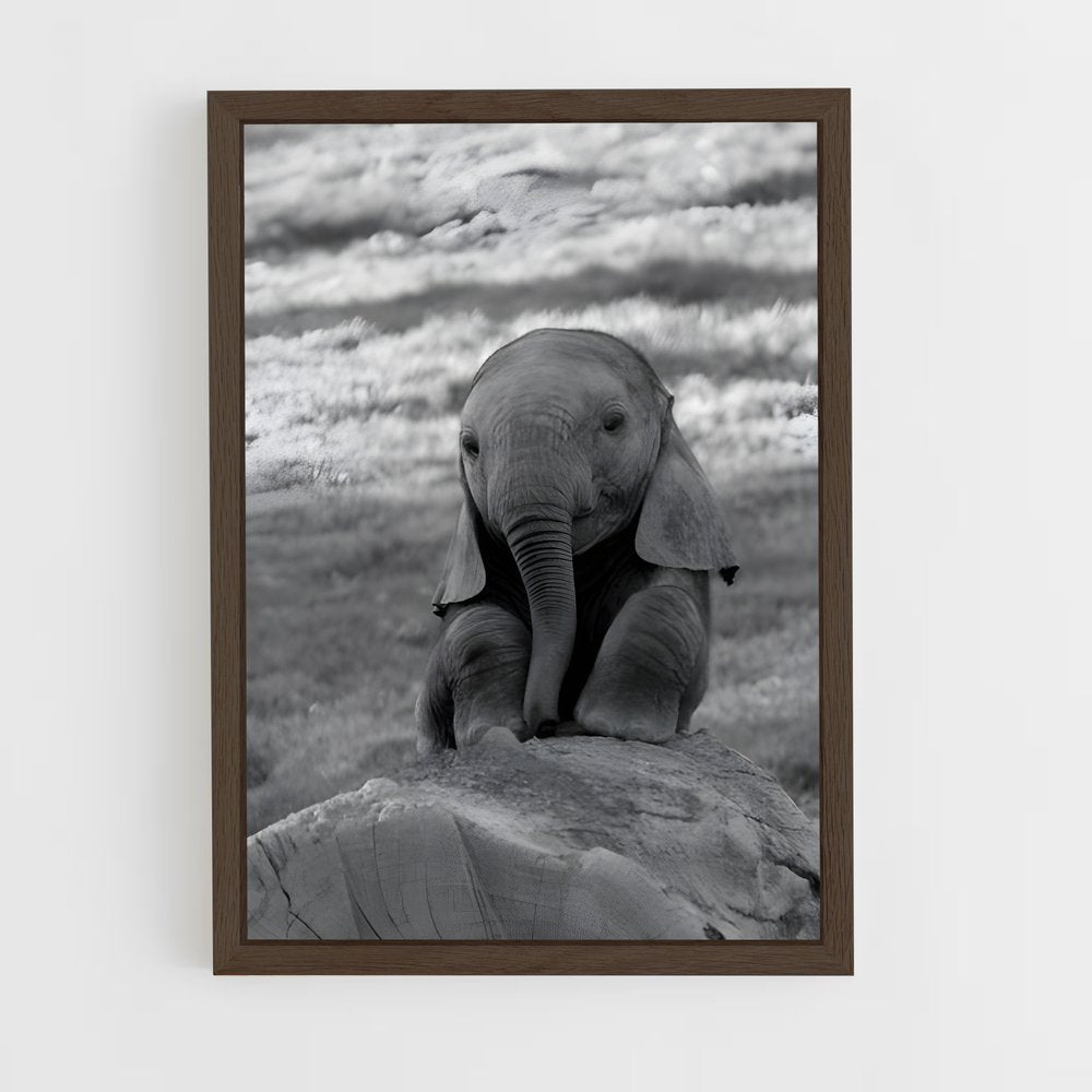 ap-elephant-8 cadre Bois foncé