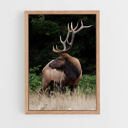 ap-elk-4 cadre Bois clair