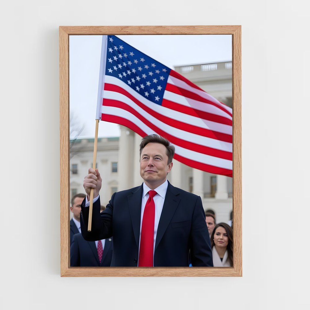 ap-elon musk-1 cadre Bois clair