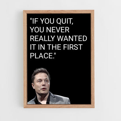 ap-elon musk-7 cadre Bois clair