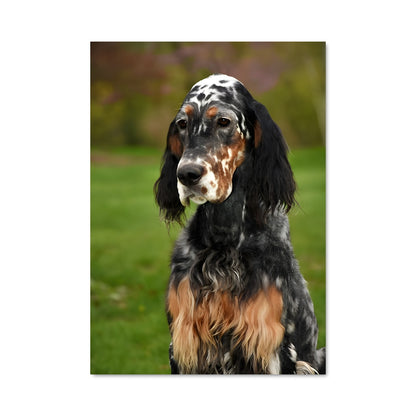 Poster L'Élégance de l'English Setter