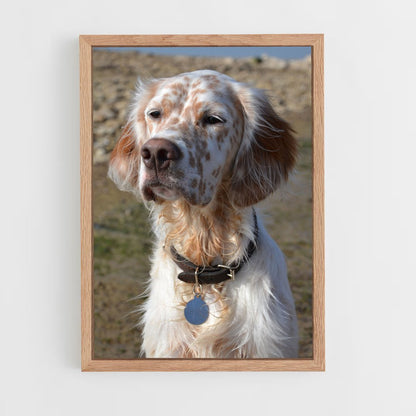 ap-english setter-1 cadre Bois clair