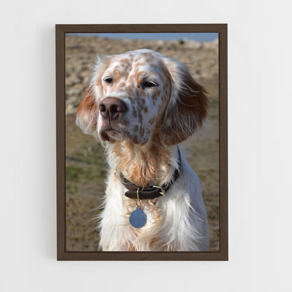 ap-english setter-1 cadre Bois foncé