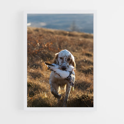 ap-english setter-4 cadre Blanc