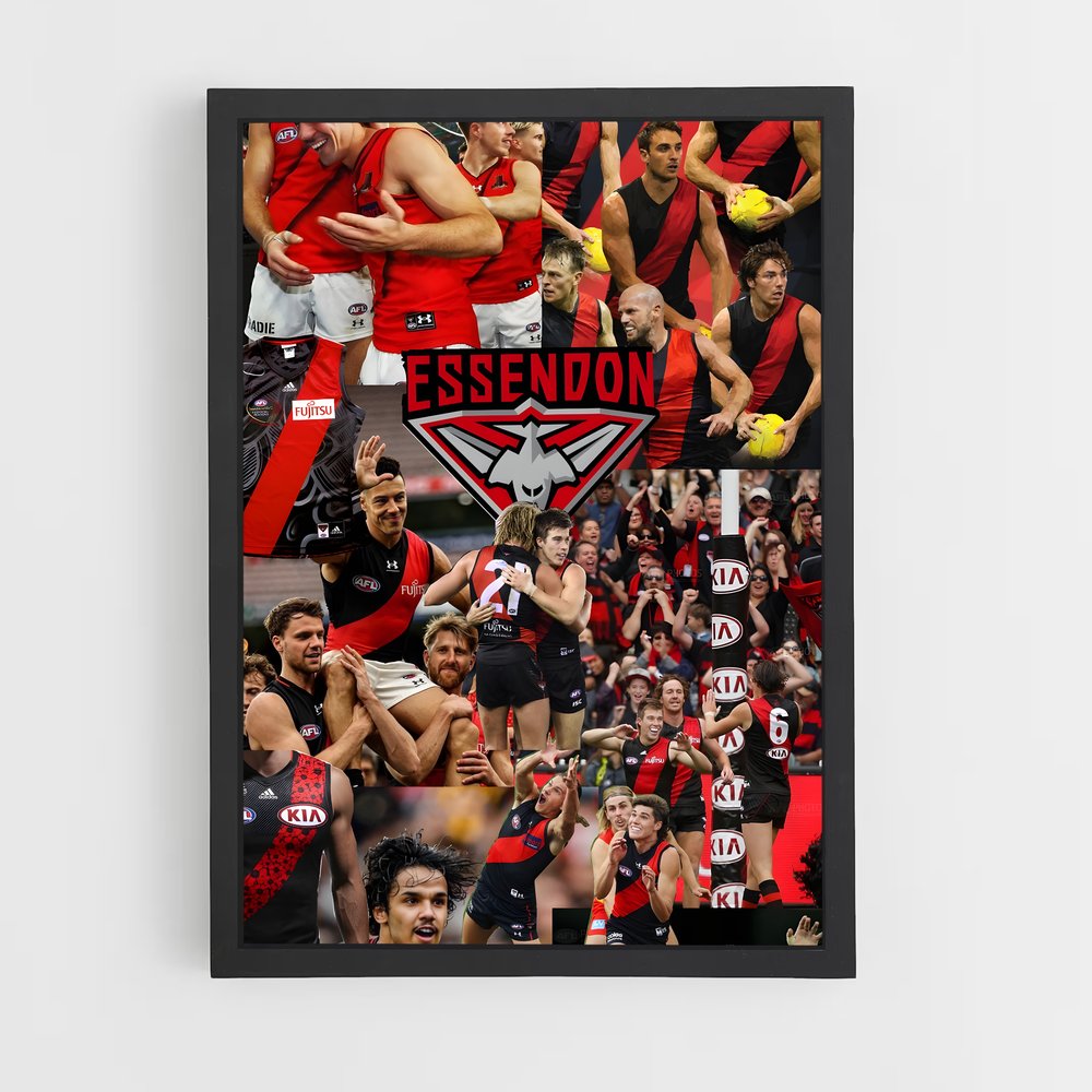 ap-essendon bombers-2 cadre Noir