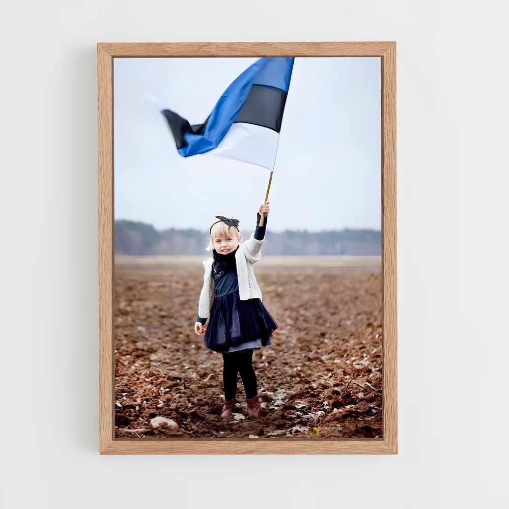 ap-estonia flag-1 cadre Bois clair