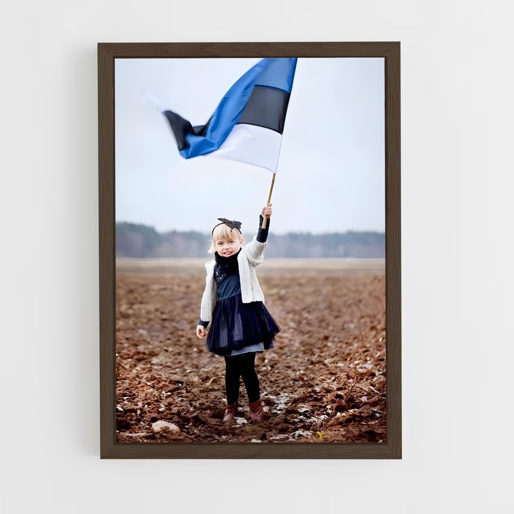 ap-estonia flag-1 cadre Bois foncé