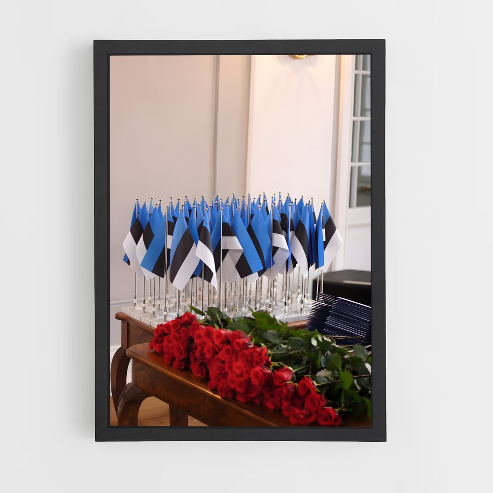 ap-estonia flag-2 cadre Noir