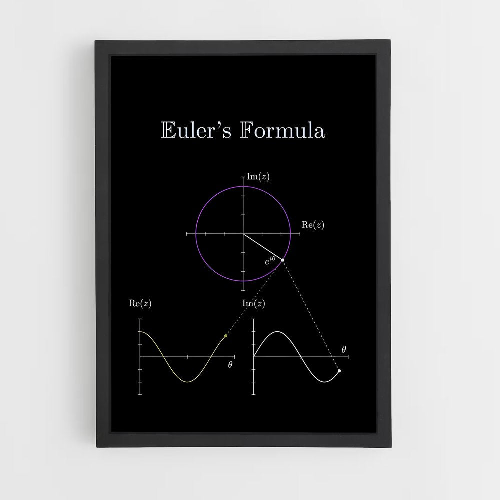 ap-euler-1 cadre Noir