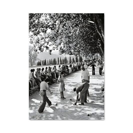 Poster Cricket en plein air