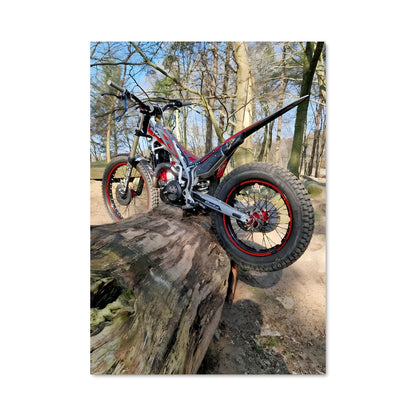 Poster Nature Ride